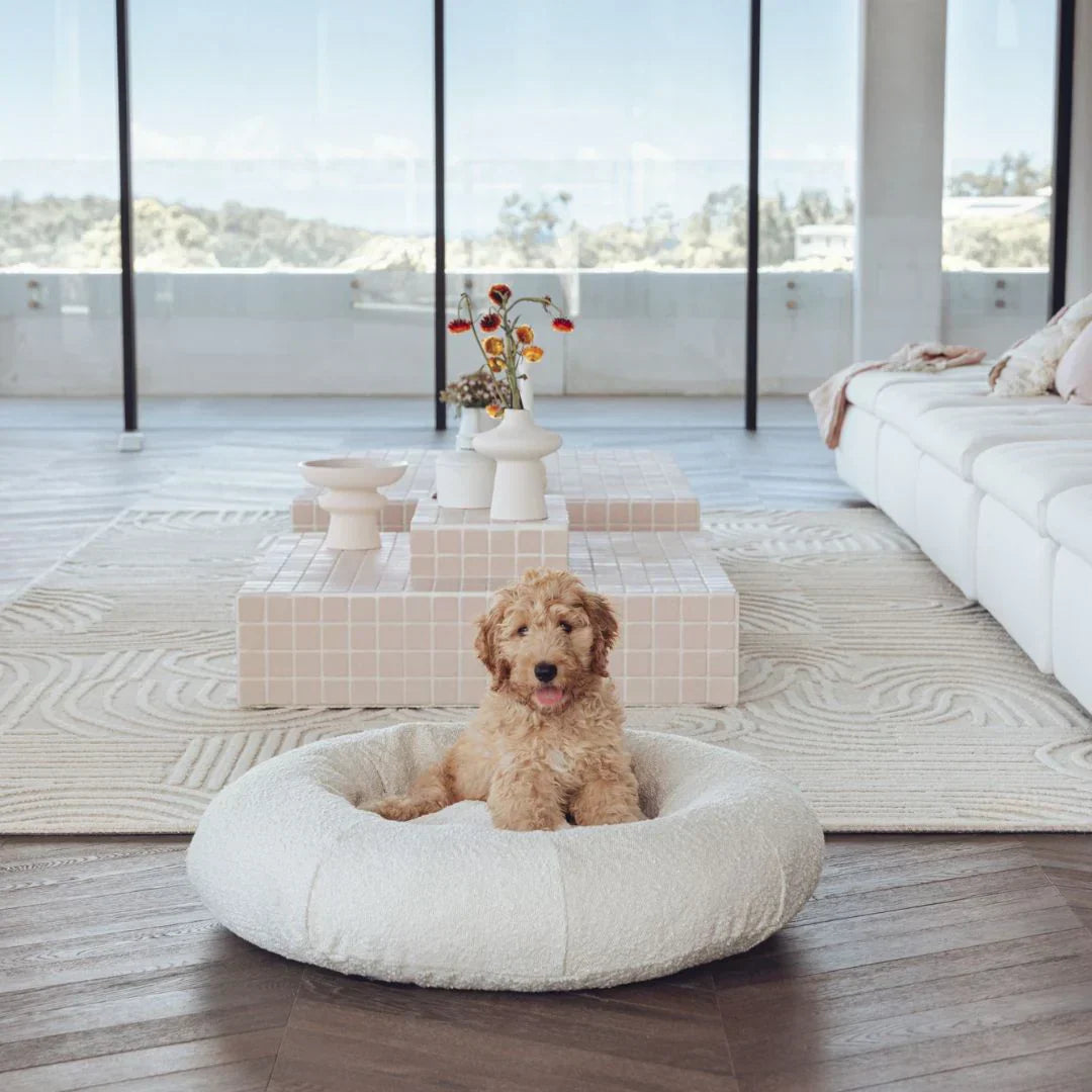 Boucle & Car Bed Bundle